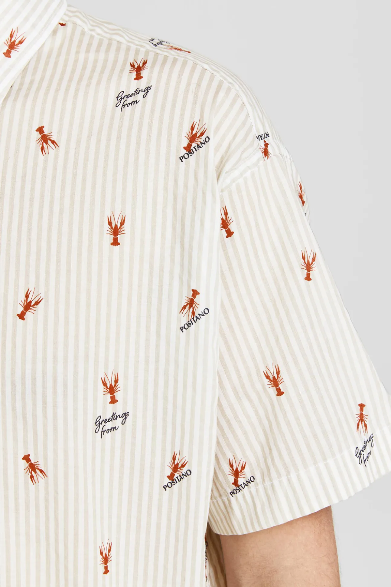 Camisa Estampada Algodon