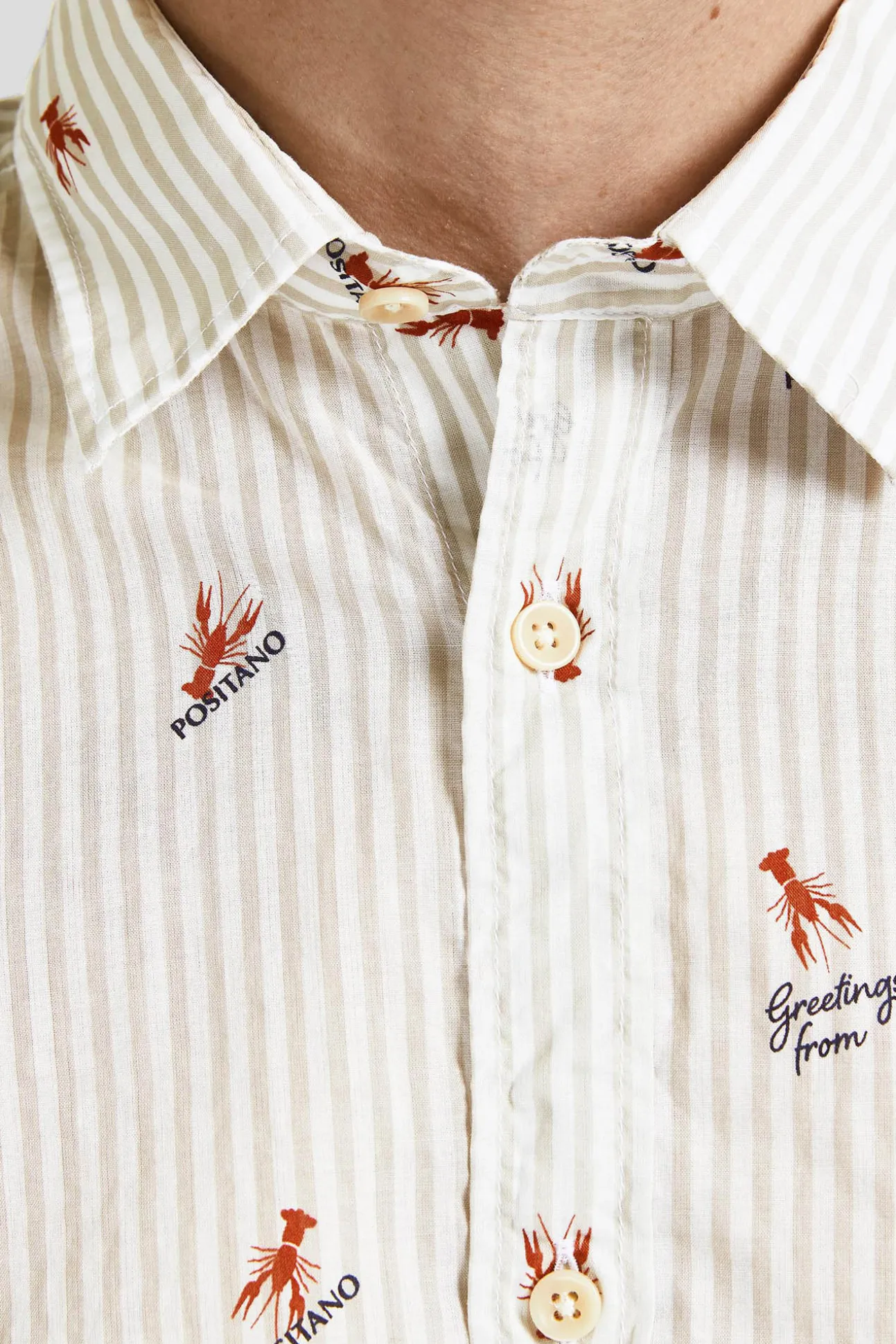 Camisa Estampada Algodon