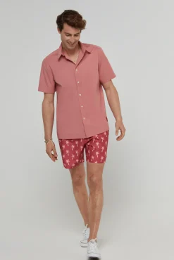 Camisa Manga Corta