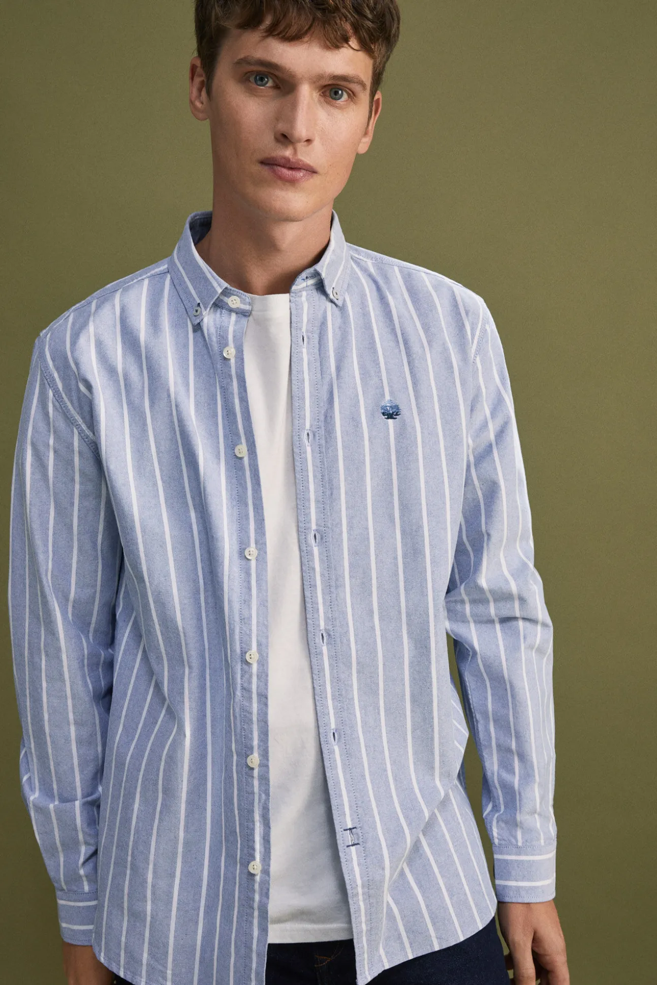 Camisa Oxford Rayas