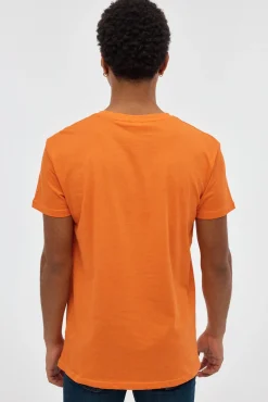 Camiseta Dragon Ball