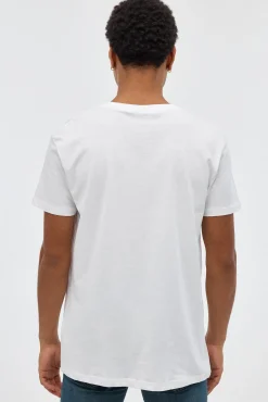 Camiseta Dragon Ball