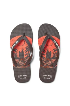 Chanclas Estampadas