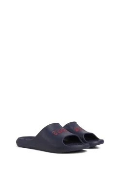 Chanclas Logo