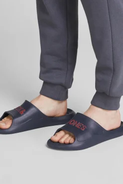 Chanclas Logo