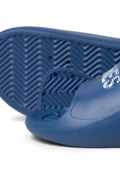 Chanclas Logo