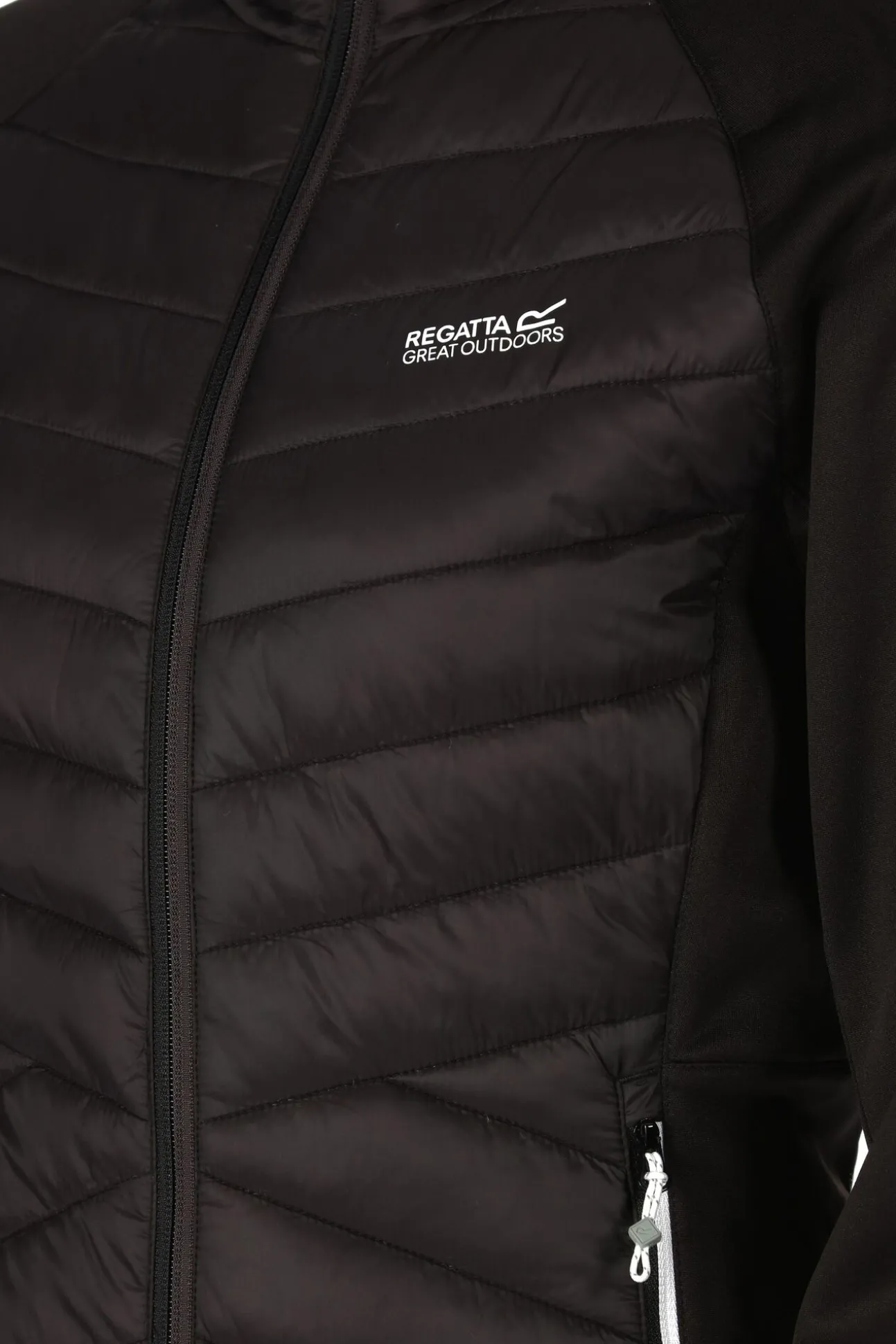 Chaqueta Anderson Vii