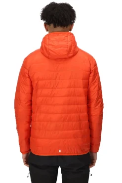 Chaqueta Con Capucha Hillpack