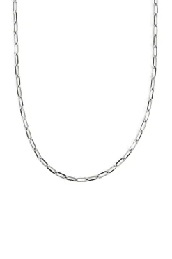 Collar Chic