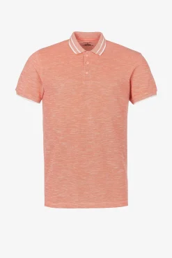 Polo Bicolor