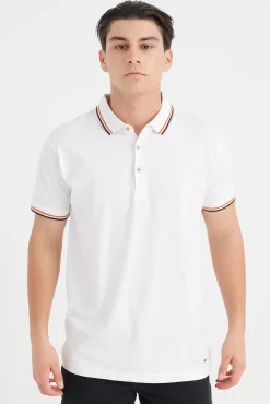 Polo Contrastes