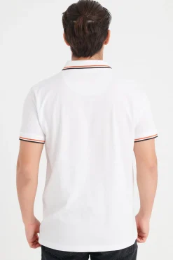 Polo Contrastes