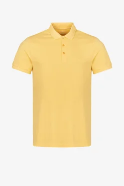 Polo Pique