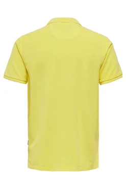 Polo Pique Basico