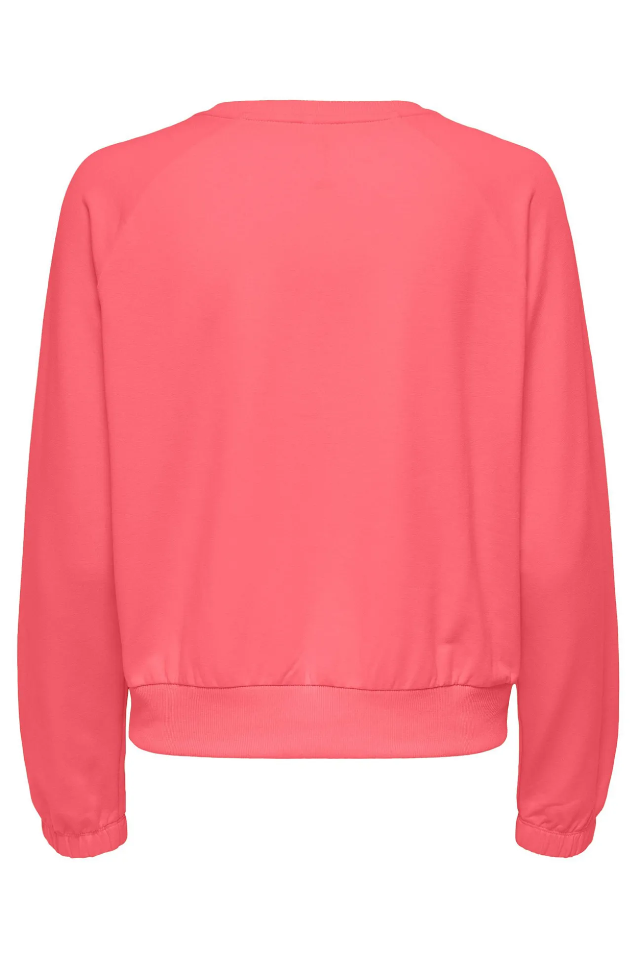 Sudadera 100% Algodon