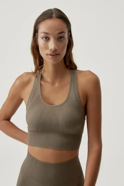 Top Zina Fossil