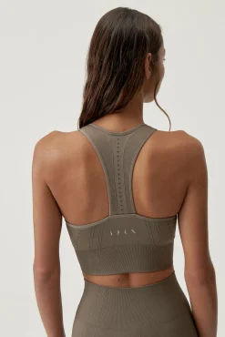 Top Zina Fossil