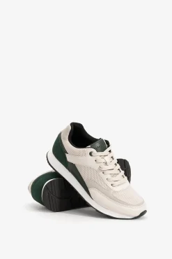 Zapatilla Apollo