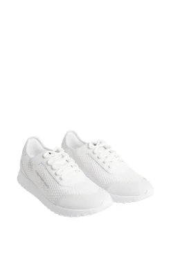 Zapatilla Runner Ck Hombre Color