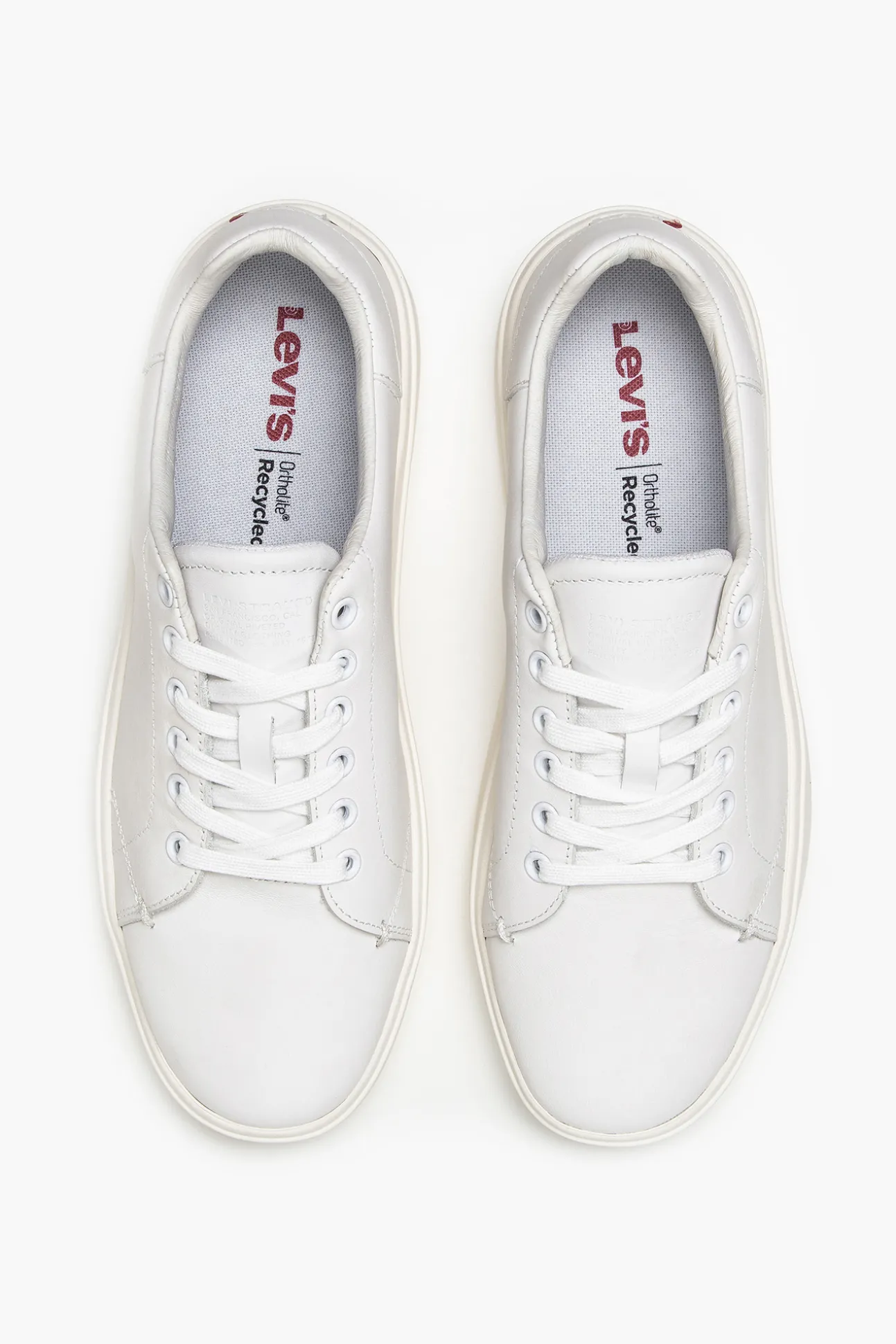Zapatillas Gibbs