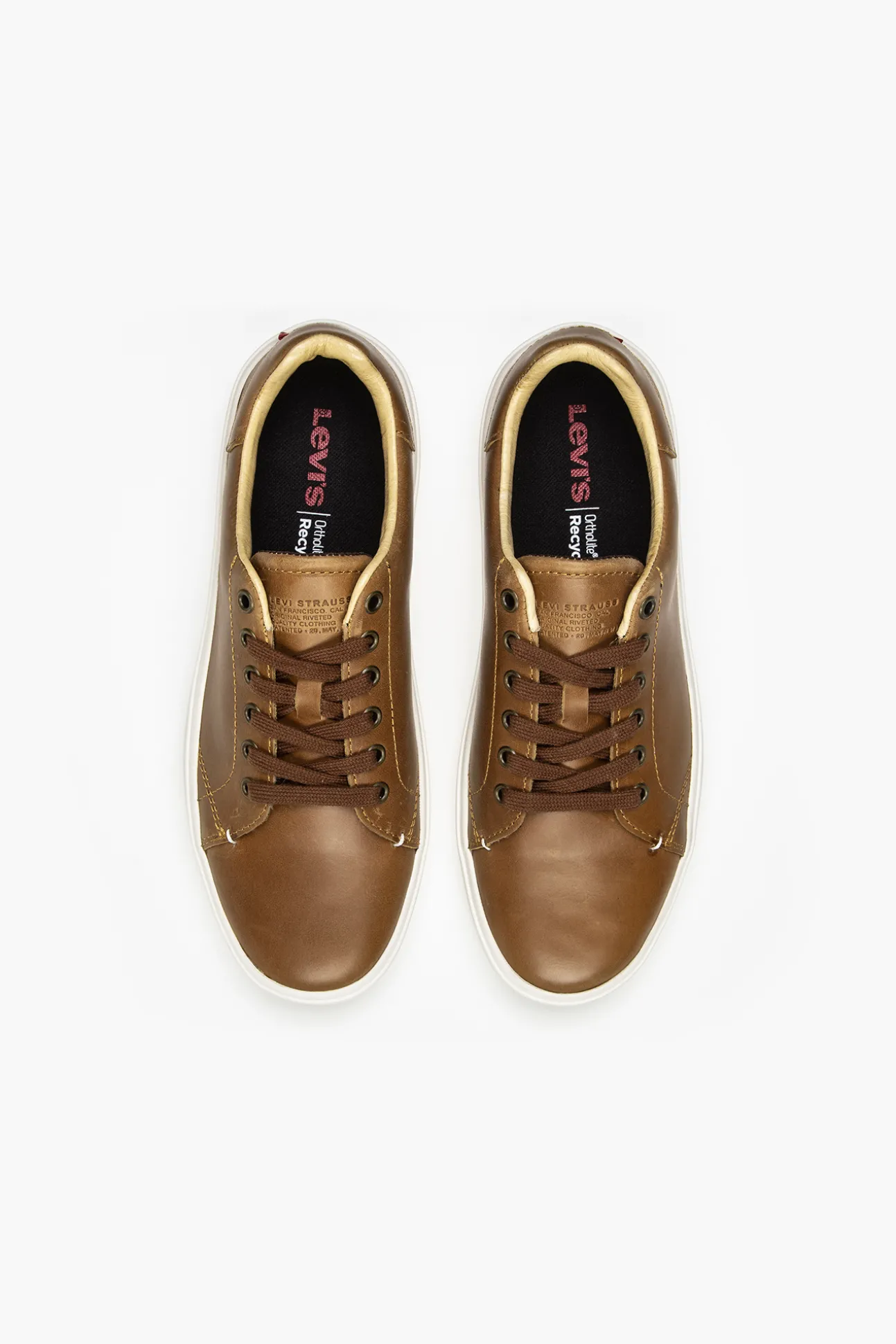 Zapatillas Gibbs